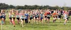 Start of the under-15 girls at the Sherman Cup, Hedley Farm, Tanfield,  County Durham.